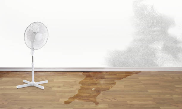 Best Water damage restoration insurance claims  in Edgewood, TX