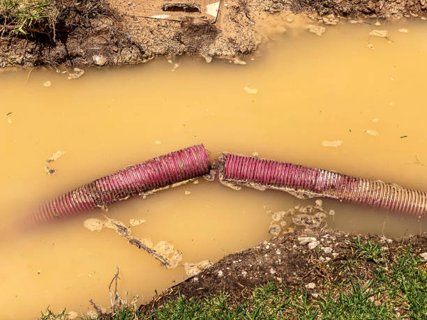 Best Emergency water damage restoration  in Edgewood, TX